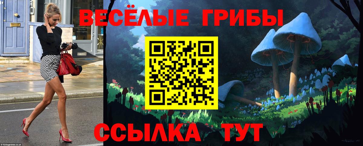 Галлюциногенные грибы мицелий  Вход с VPN  Петрозаводск  купить наркотик  Псилоцибиновые грибы прущие грибы 