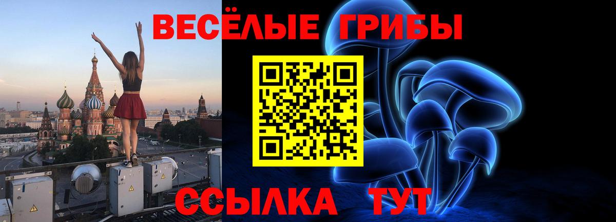 Галлюциногенные грибы GOLDEN TEACHER Петрозаводск